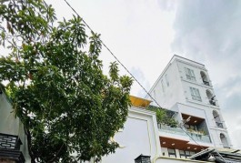 Q7 NGUYỄN THỊ THẬP HXH BIỆT THỰ MINI CÁCH MẶT TIỀN 10M NGANG GẦN 8M CÁCH PMH 300M 16.xT